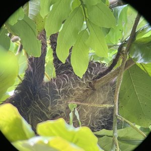 IMG_0732.jpeg