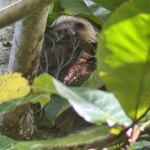 IMG_0735.jpeg