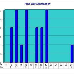 Fish Size Distribution 2024-06-07.jpg