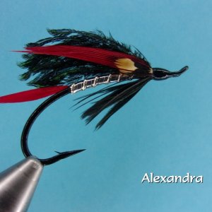 Alexandra.jpg
