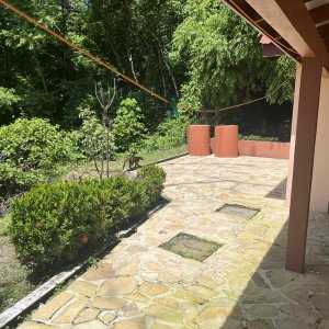IMG_1280.jpeg