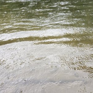 20240615_rain.jpg