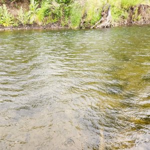 20240615_windrain.jpg