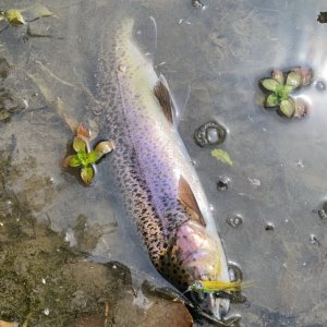 IMG_5066.jpeg