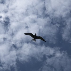 IMG_7569.jpeg