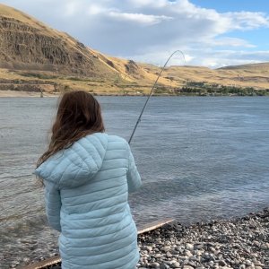 Shad 24 reel.JPG