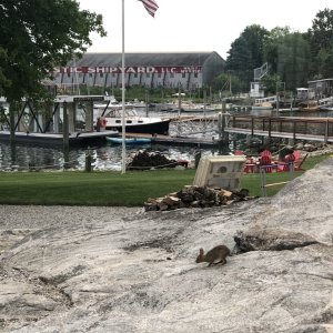 IMG_7641.jpeg