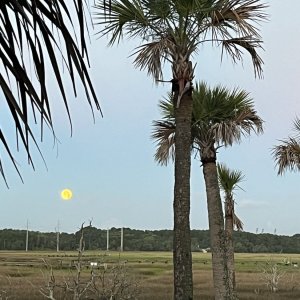 IMG_1681.jpeg