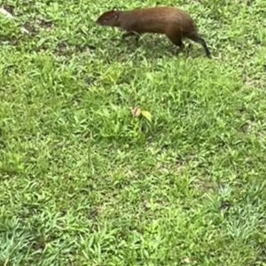 IMG_0902.jpeg