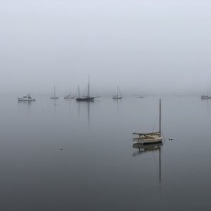 IMG_7647.jpeg