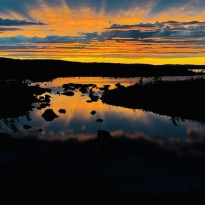 IMG_4948.jpeg