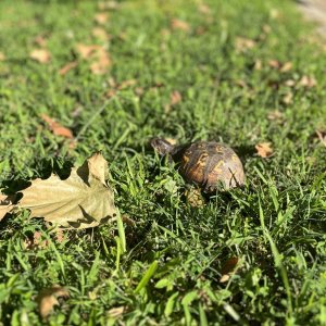 IMG_1719.jpeg