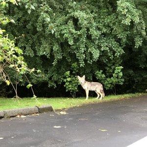 IMG_7697.jpeg