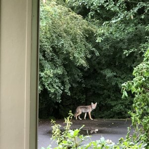 IMG_7698.jpeg