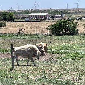 IMG_1828.jpeg