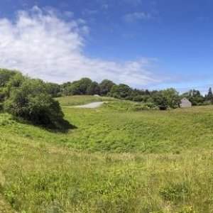 B01Meadows8456.jpg