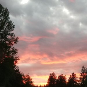20240701_211155.jpg