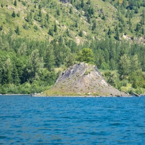 A04EaglePairOnIslandP7030010.jpg
