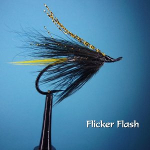 Flicker Flas.jpg