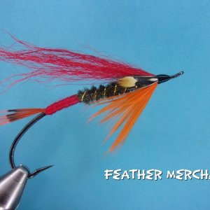 Feather Merchant.jpg