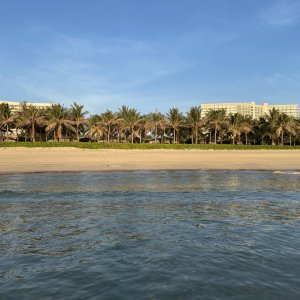IMG_6555.jpeg