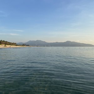 IMG_6553.jpeg