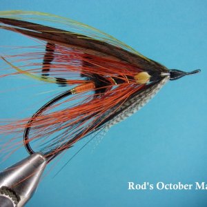 Rod's October Madness.jpg