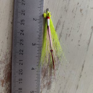 IMG20240712180505.jpg