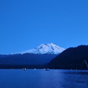 20240713_043614.jpg