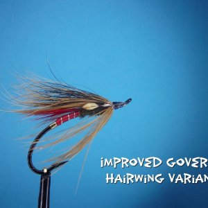 Improved Governor Hairwing 2.jpg