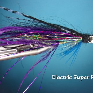 Electric Super Prawn.jpg