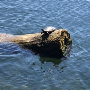 IMG_7809.jpeg