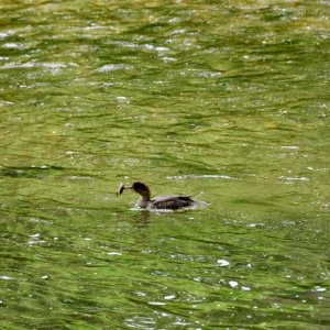 DSC_0059.jpeg