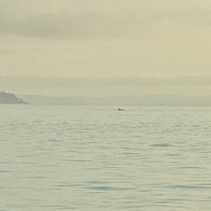 IMG_5791.jpeg