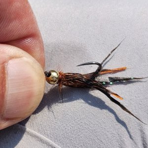 20240726_jiggycraw.jpg
