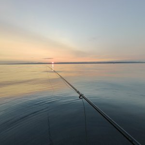 IMG20240727055016.jpg