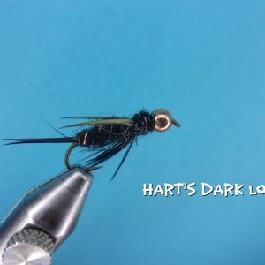 Hart's Dark Lord.jpg