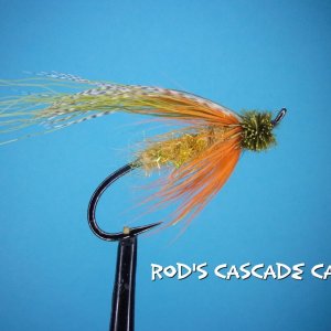 rod's cascade caddis.jpg