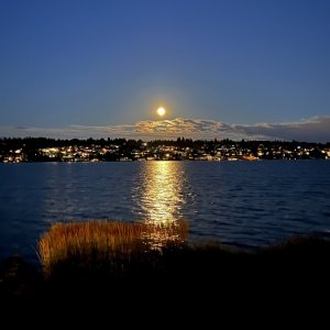 IMG_5189.jpeg