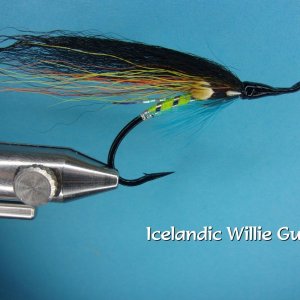 willie gun.jpg