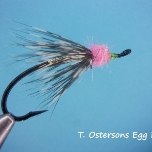 Egg Dart.jpg