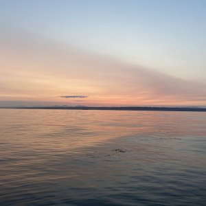 IMG_6702.jpg