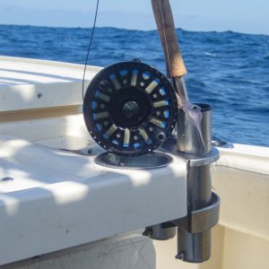 A09Reel&SquidFlyP9120025.jpg