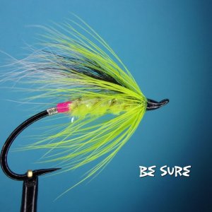 Besure.jpg
