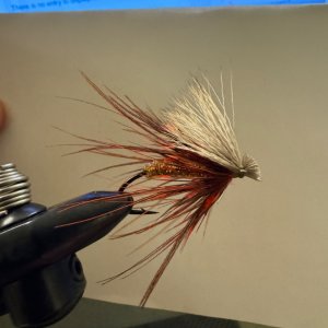 IMG_1469.jpeg