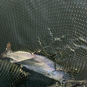IMG_0270.jpeg