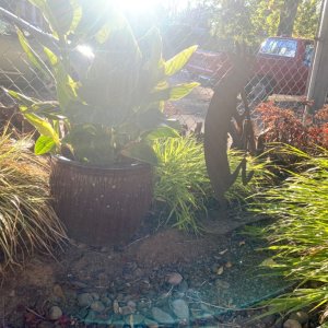IMG_6330.jpeg