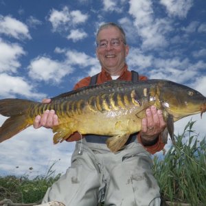 Mirror Shootin Blanks - (EX R).JPG