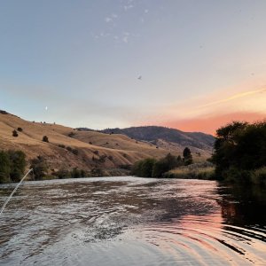 IMG_3836.jpeg