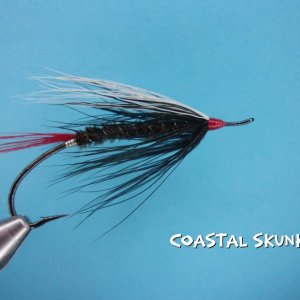 Coastal Skunk.jpg